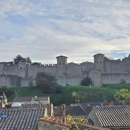 Vue Cite Medievale Castel View 卡尔卡松 外观 照片
