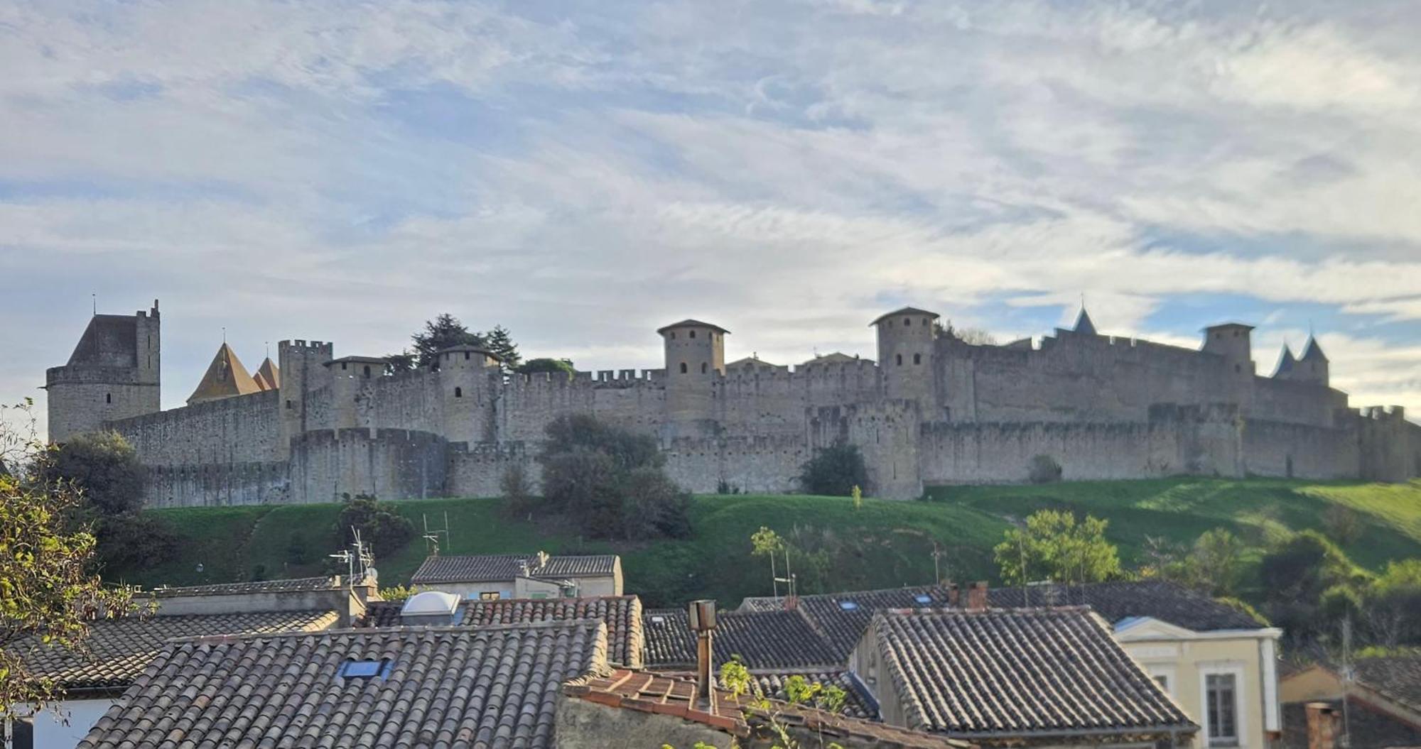 Vue Cite Medievale Castel View 卡尔卡松 外观 照片