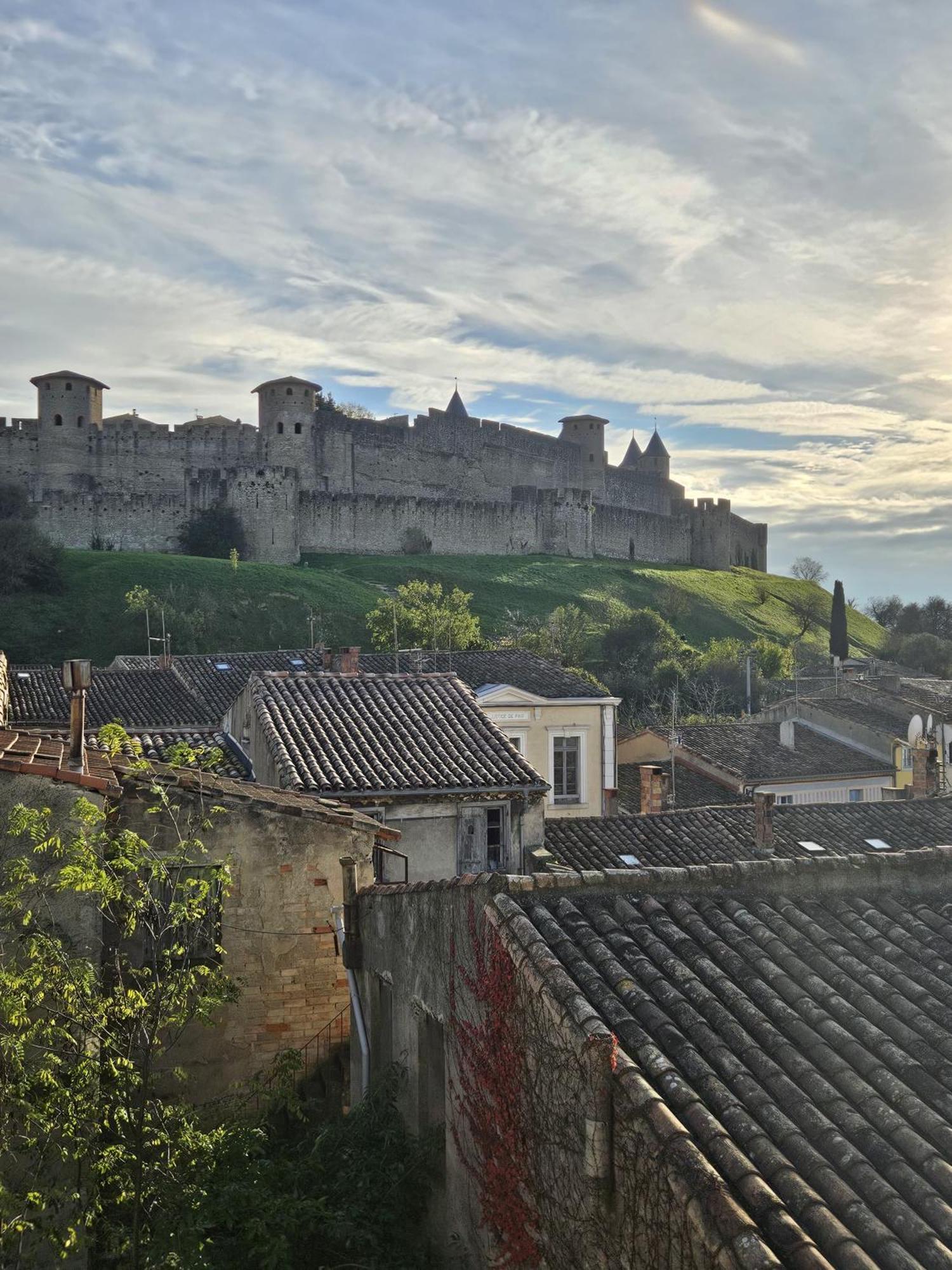 Vue Cite Medievale Castel View 卡尔卡松 外观 照片