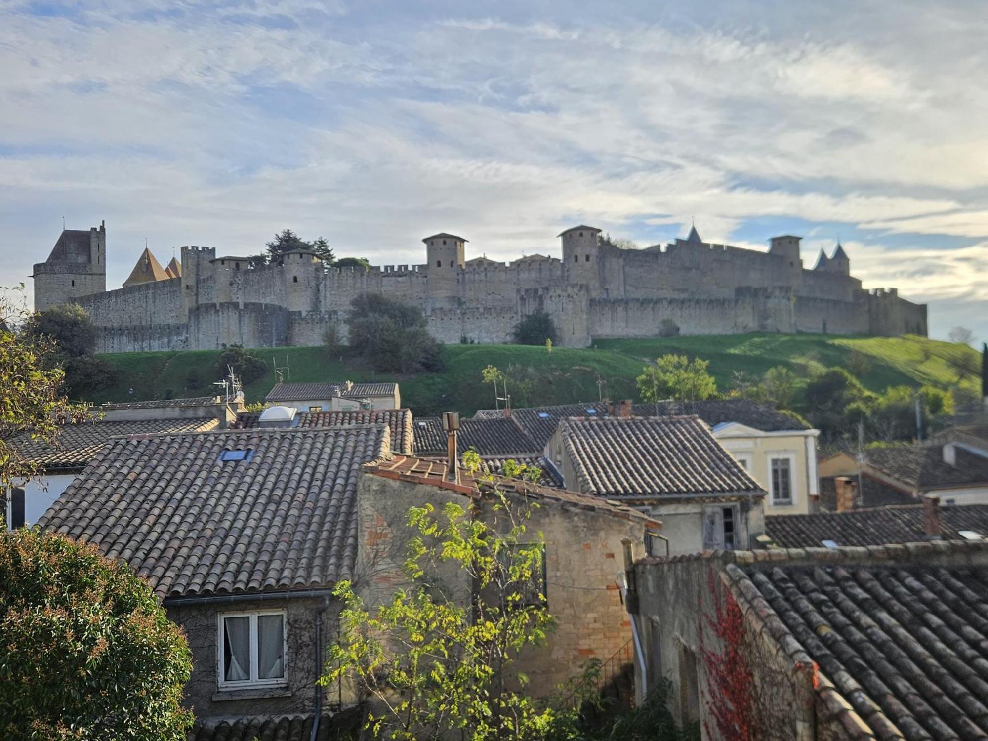 Vue Cite Medievale Castel View 卡尔卡松 外观 照片