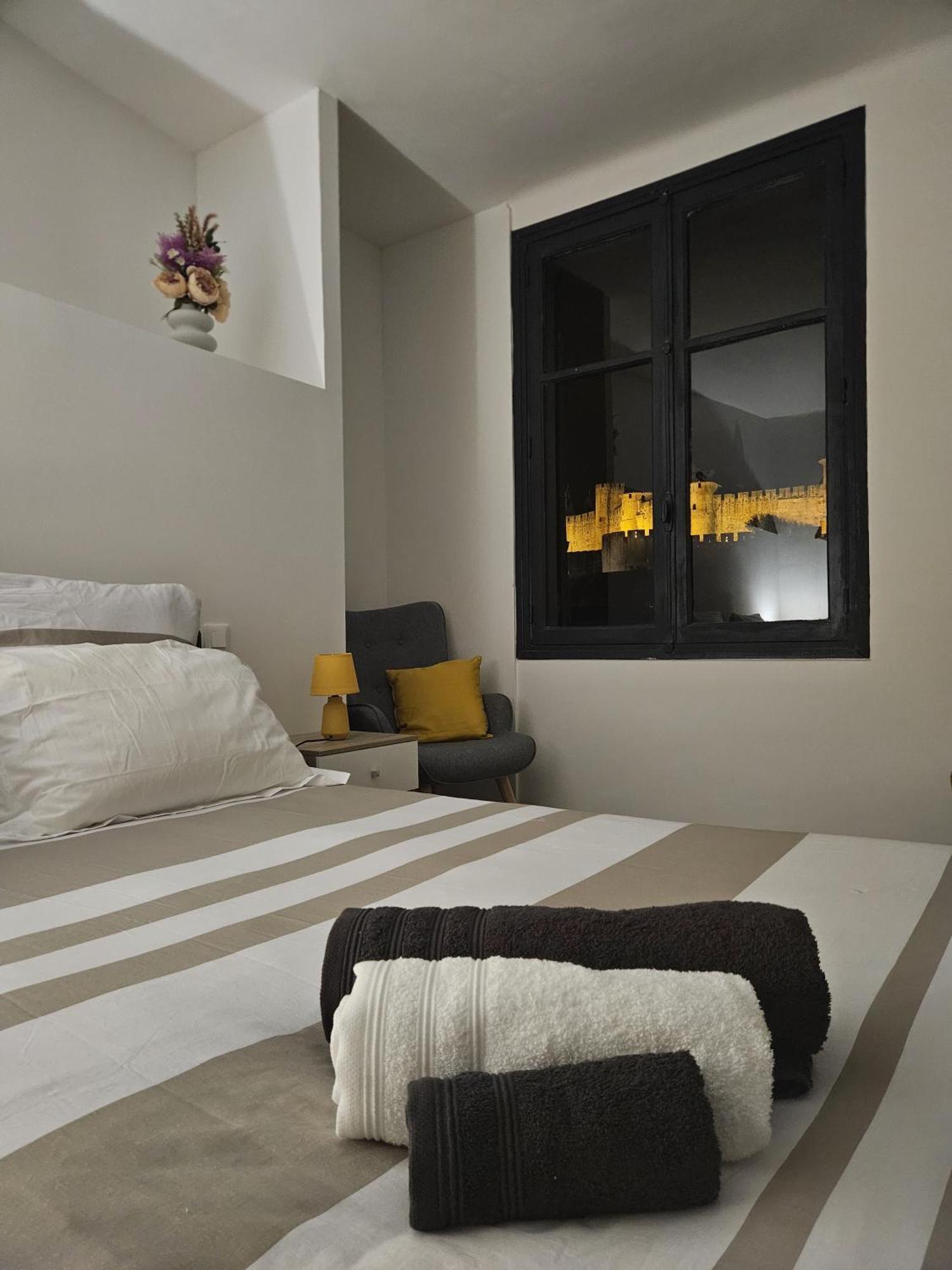 Vue Cite Medievale Castel View 卡尔卡松 外观 照片
