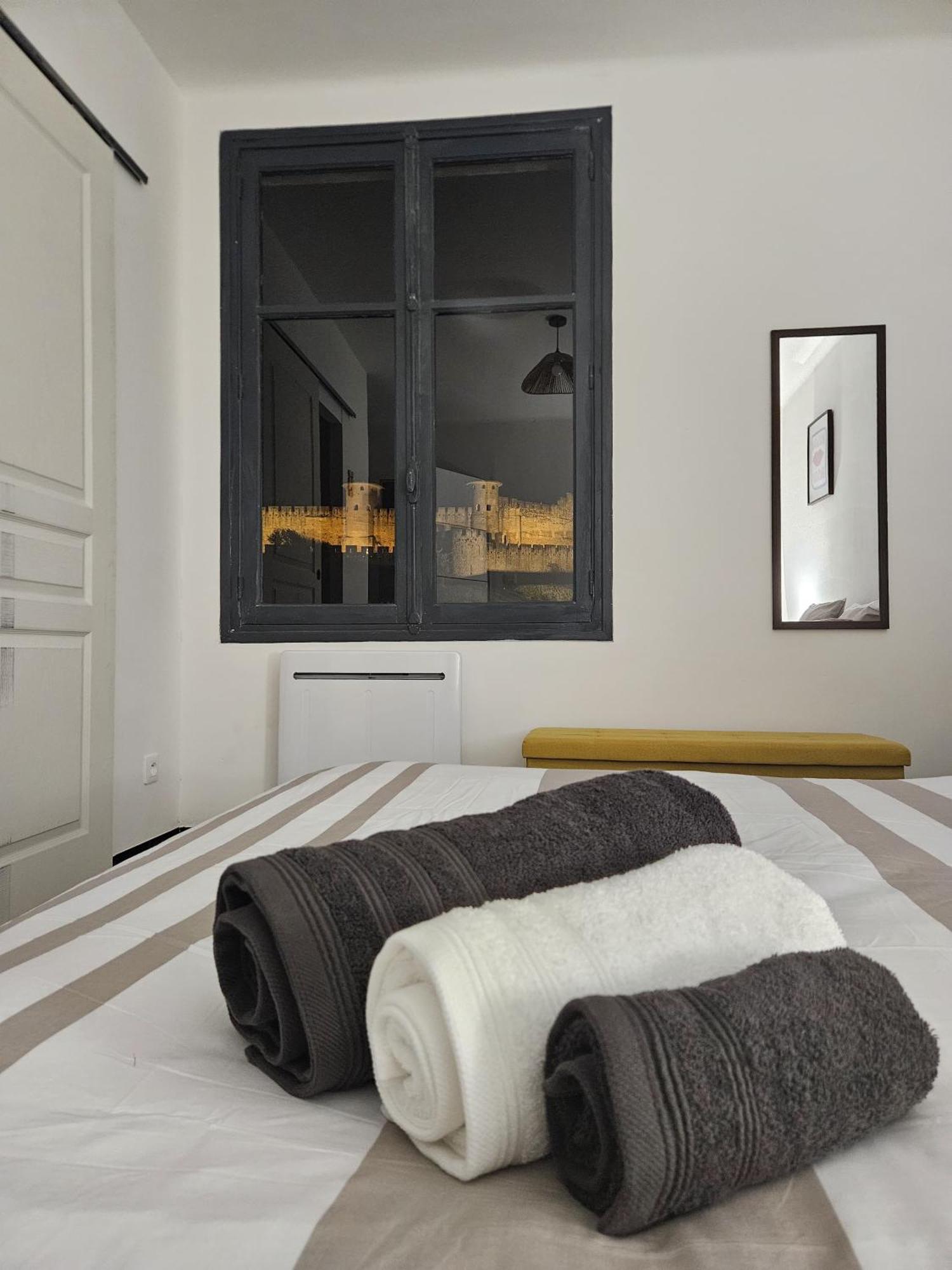 Vue Cite Medievale Castel View 卡尔卡松 外观 照片