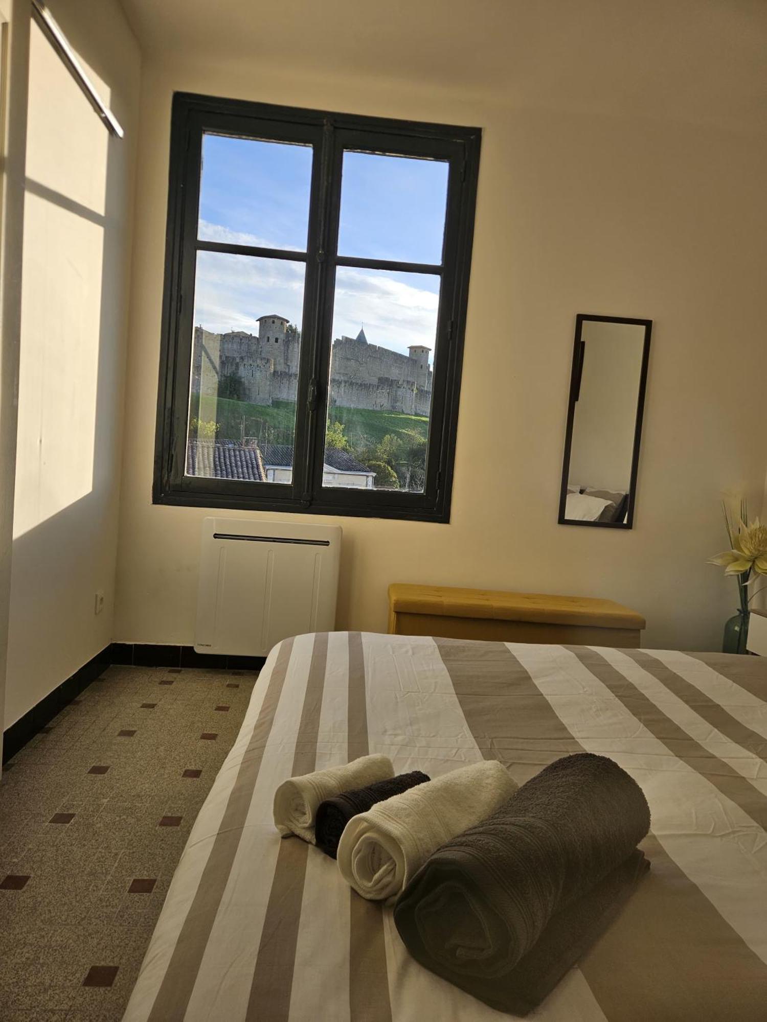 Vue Cite Medievale Castel View 卡尔卡松 外观 照片