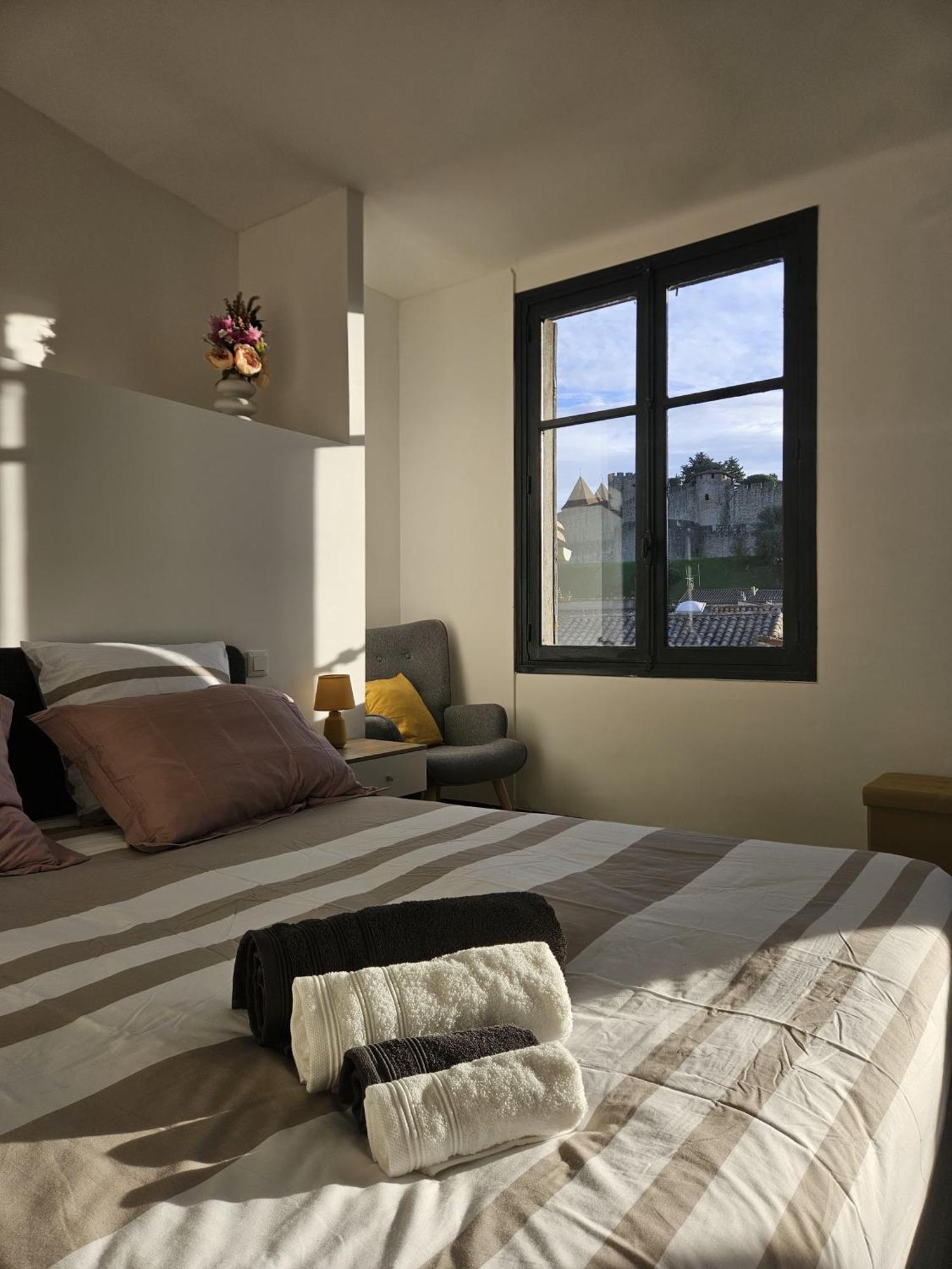 Vue Cite Medievale Castel View 卡尔卡松 外观 照片